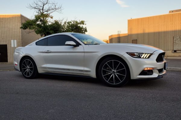 Ford_Mustang_GT_Window Tinting-min