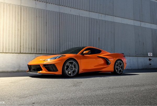 Professional Tinting